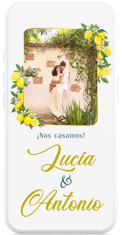Bodas